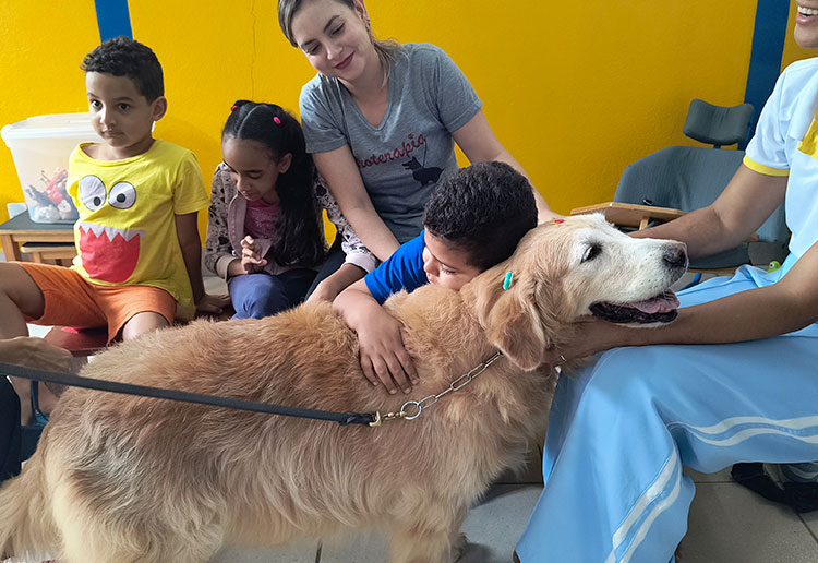 Minicurso em Sete Lagoas ensina atendimento emergencial para cães