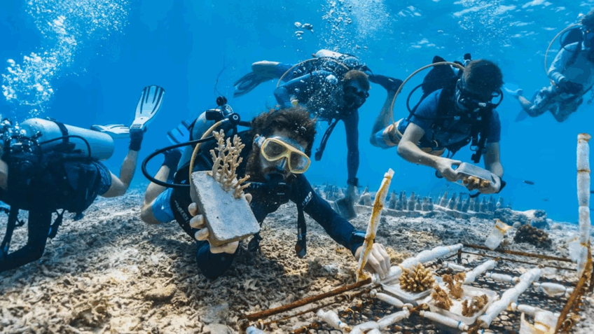 Tratado do Alto-Mar: Impacto Crucial na Economia Brasileira