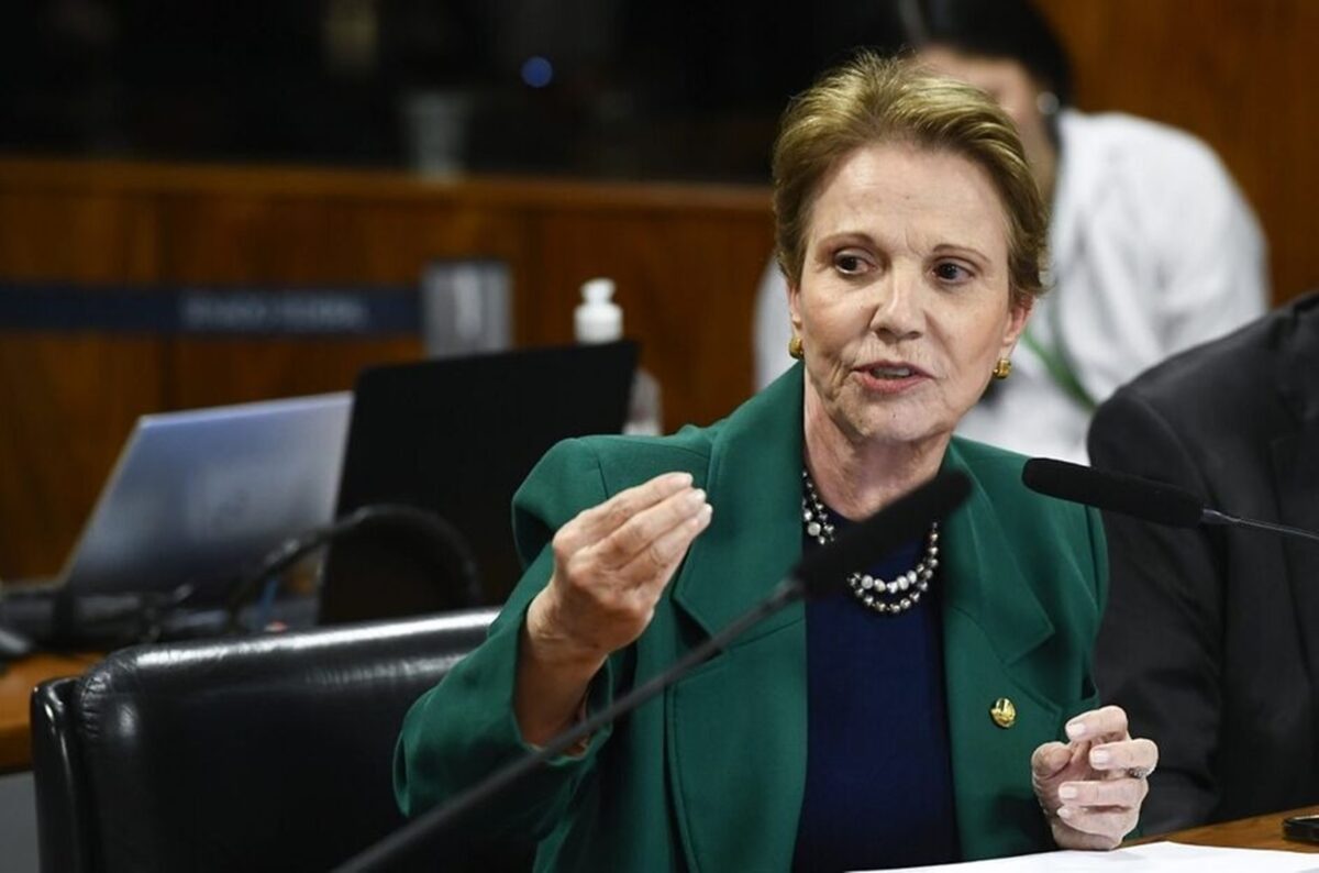 Tereza Cristina Avalia Possível Chapa com Flávio Bolsonaro